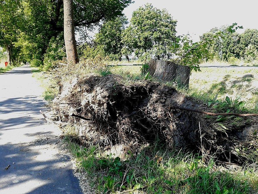 Po niedzielnej nawałnicy