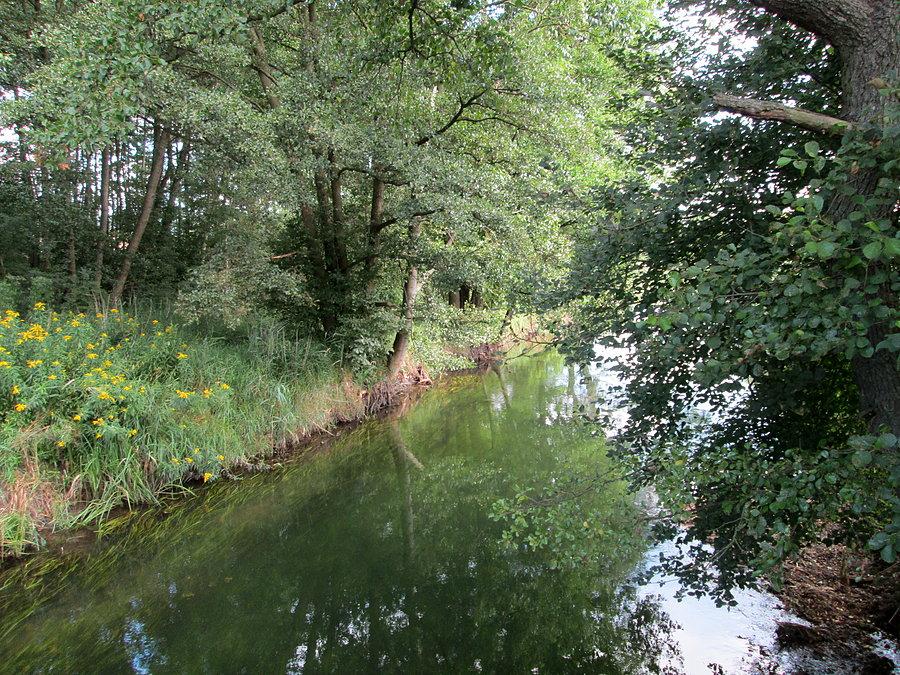 Nad Radunią