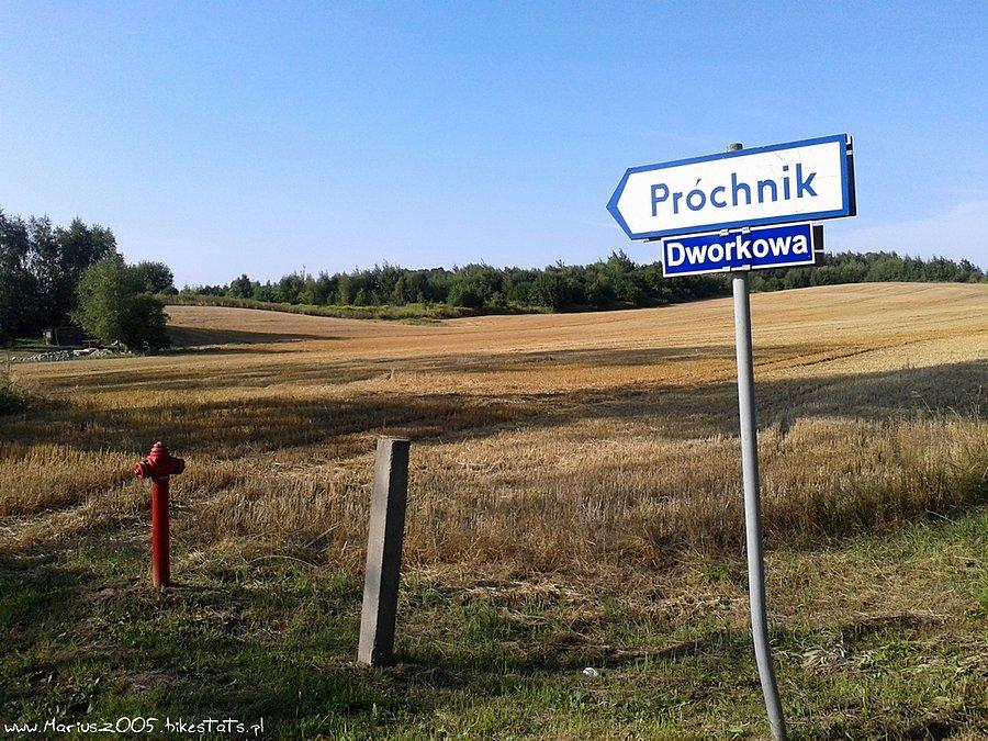 Próchnik