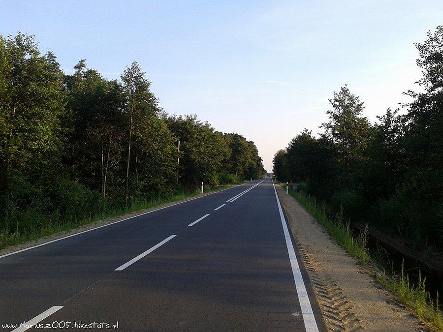 W drodze do Elbląga