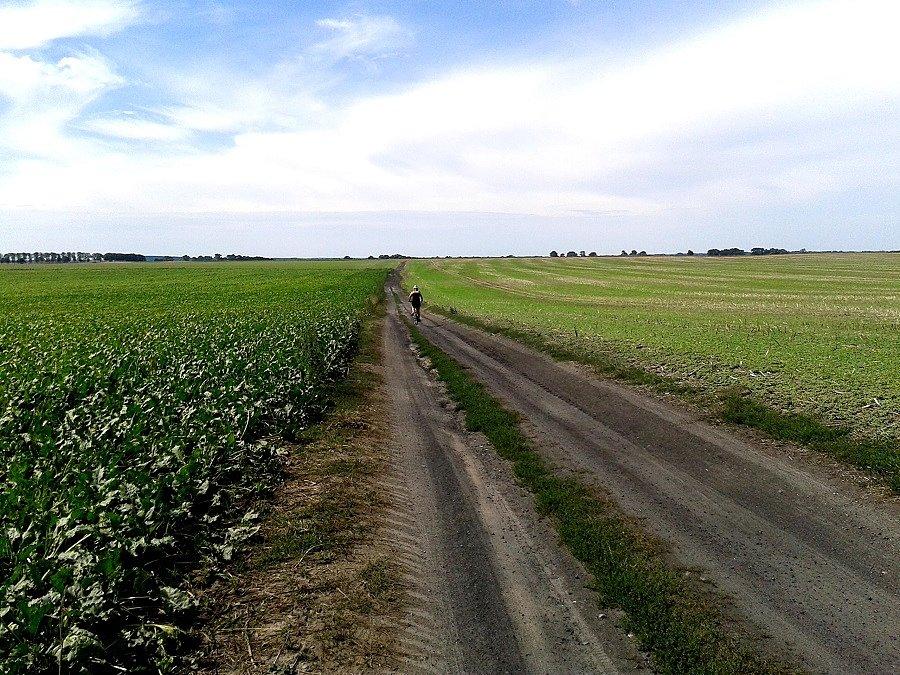 Dębica - Wierzbno