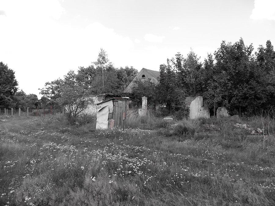 To jest przykład tych "normalnych" domów :)