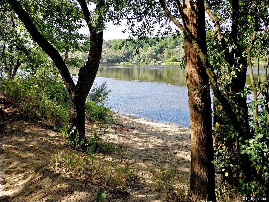Cudny widok