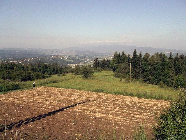 Widoczek na Beskid Żywiecki