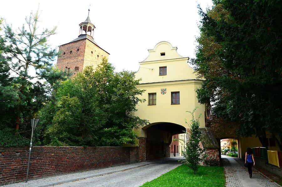 Głogówek plus