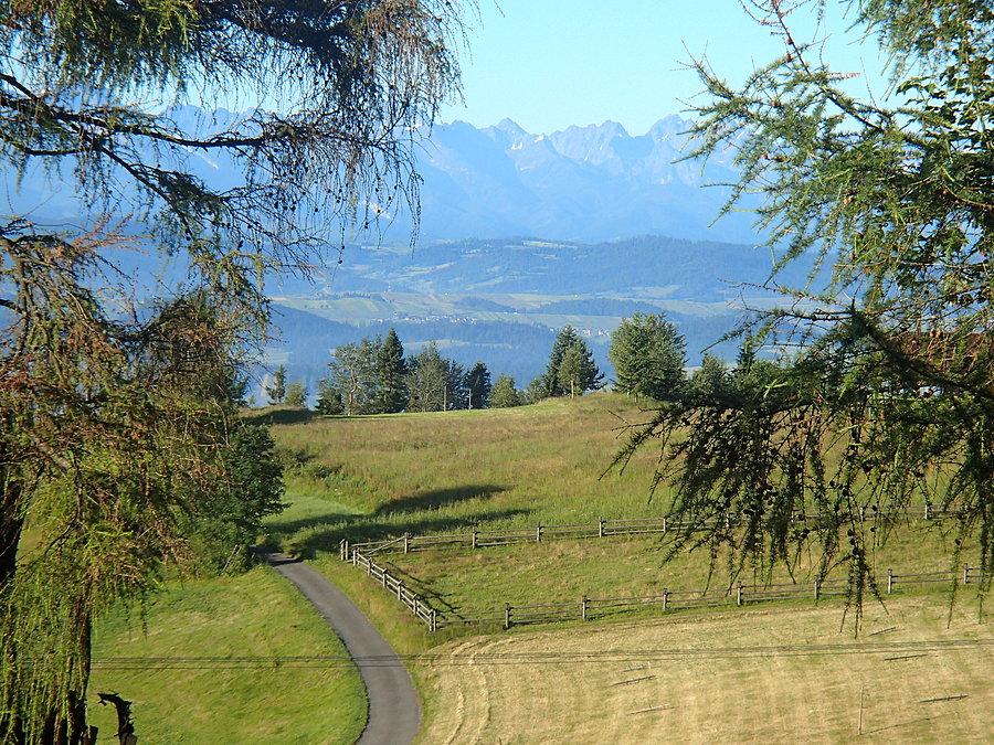 Pola i Tatry