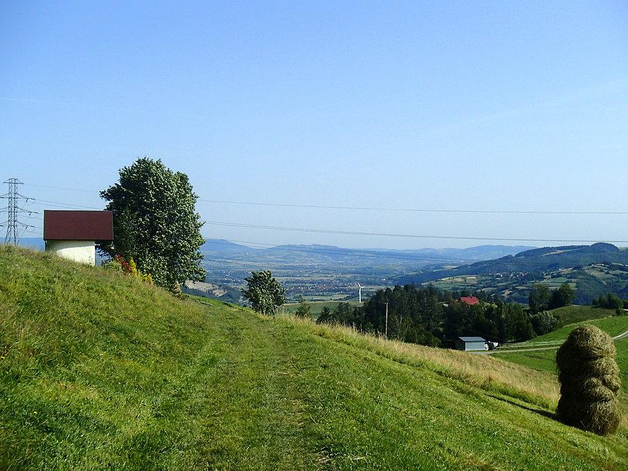 Widok na Beskid Sądecki