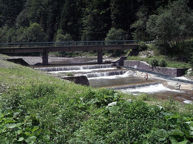 Rzeka Kamienica