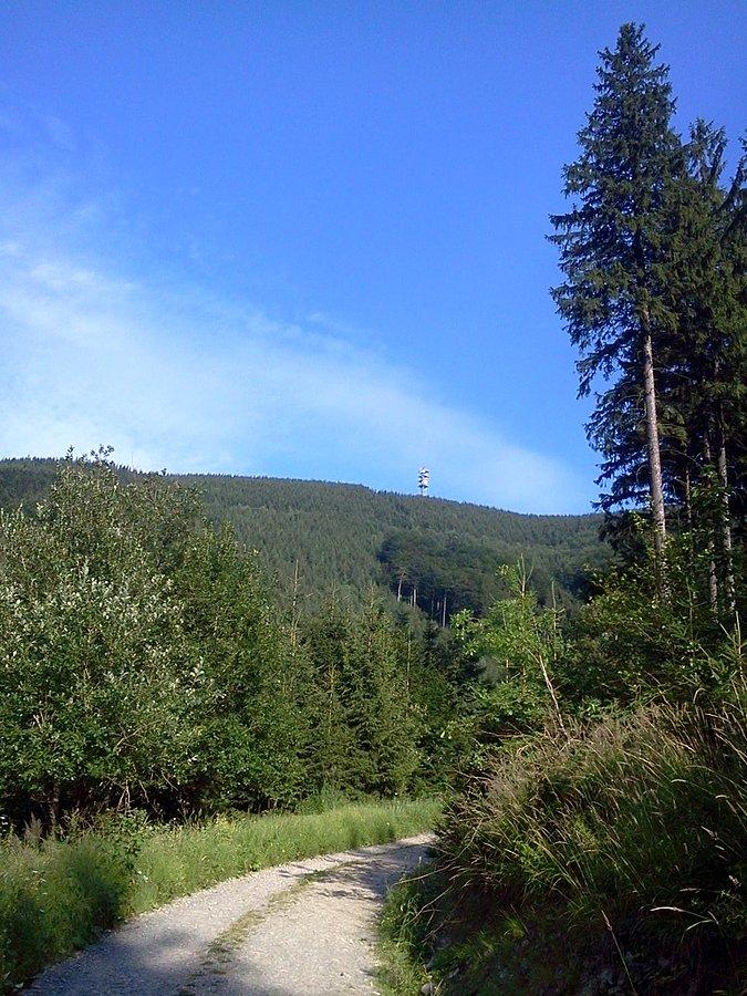 Szutru na Jaworowy