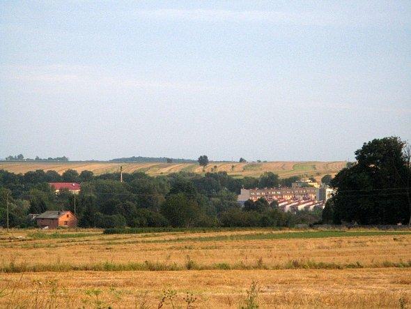 Widok na pola koło Bychawy