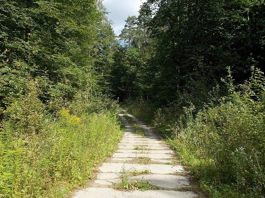 Gdzieś nad Dębicą