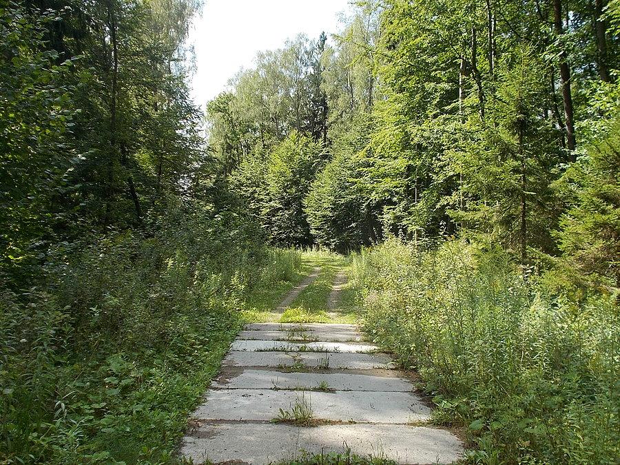 Gdzieś nad Dębicą