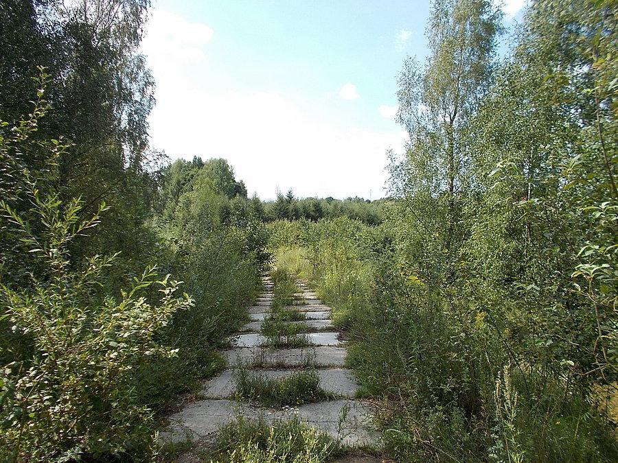 Gdzieś nad Dębicą