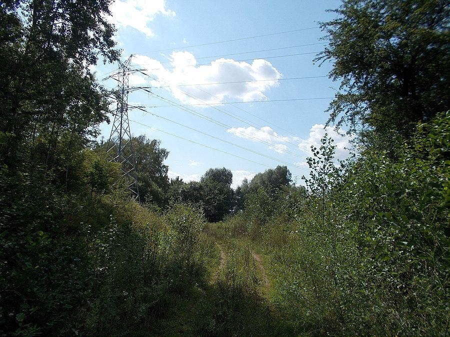 Gdzieś nad Dębicą