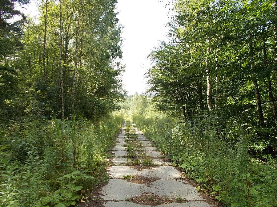 Gdzieś nad Dębicą