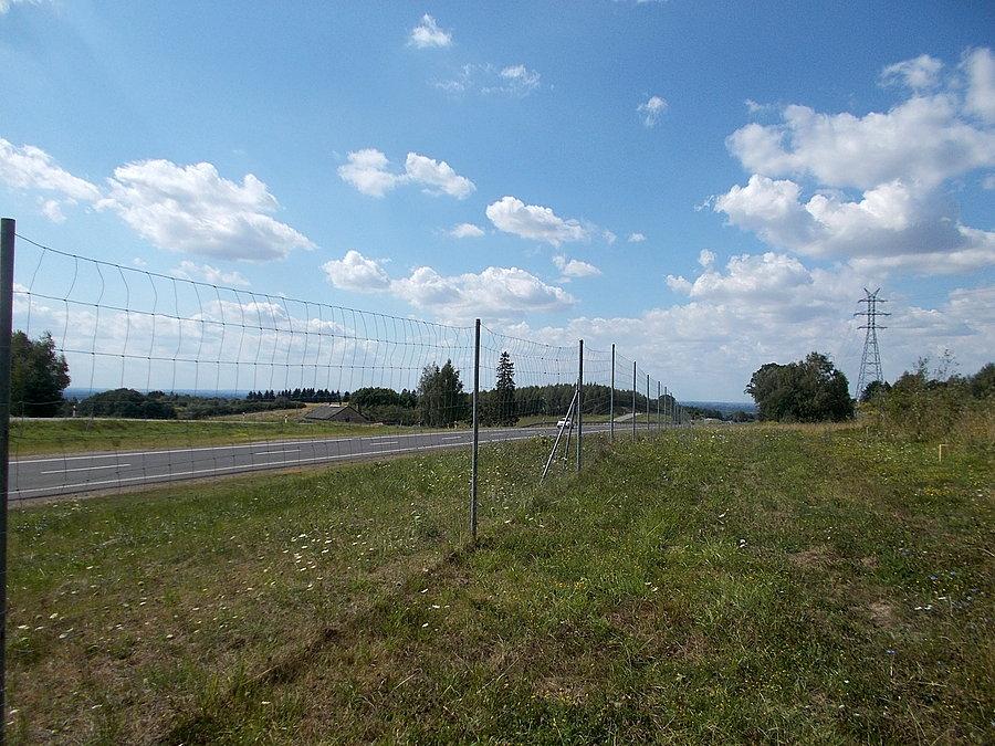 Gdzieś przy S22