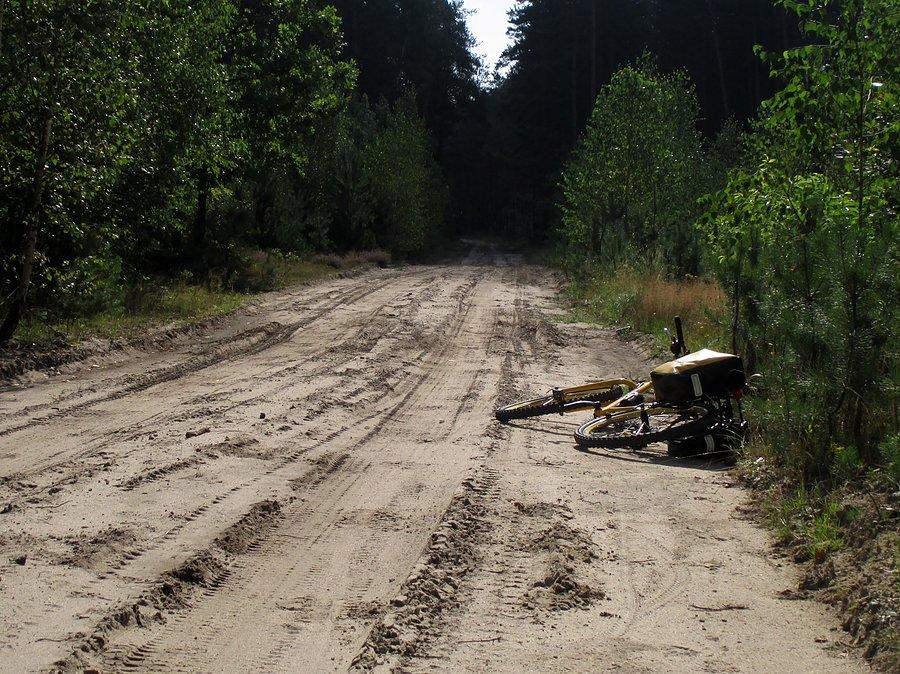 Lasy na wschód od Hańska