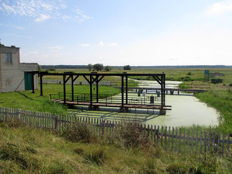 Infrastruktura w okolicach Adamczuków