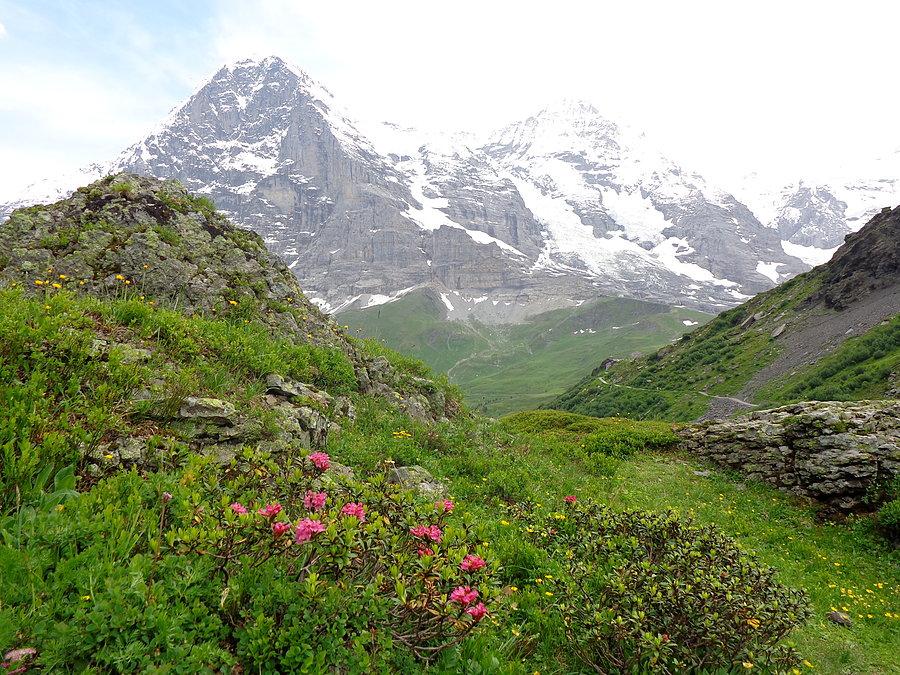 Alpejska Wielka Trójka