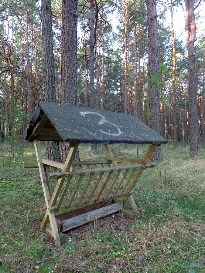 Paśnik numer 3