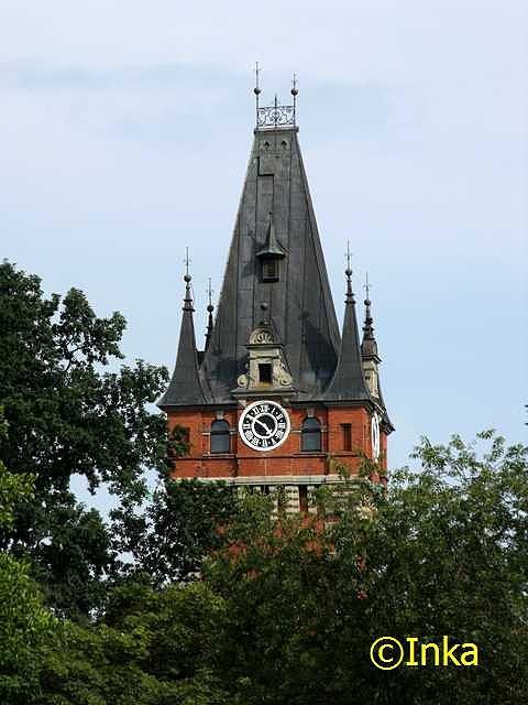 Wieża pałacu góruje nad drzewami