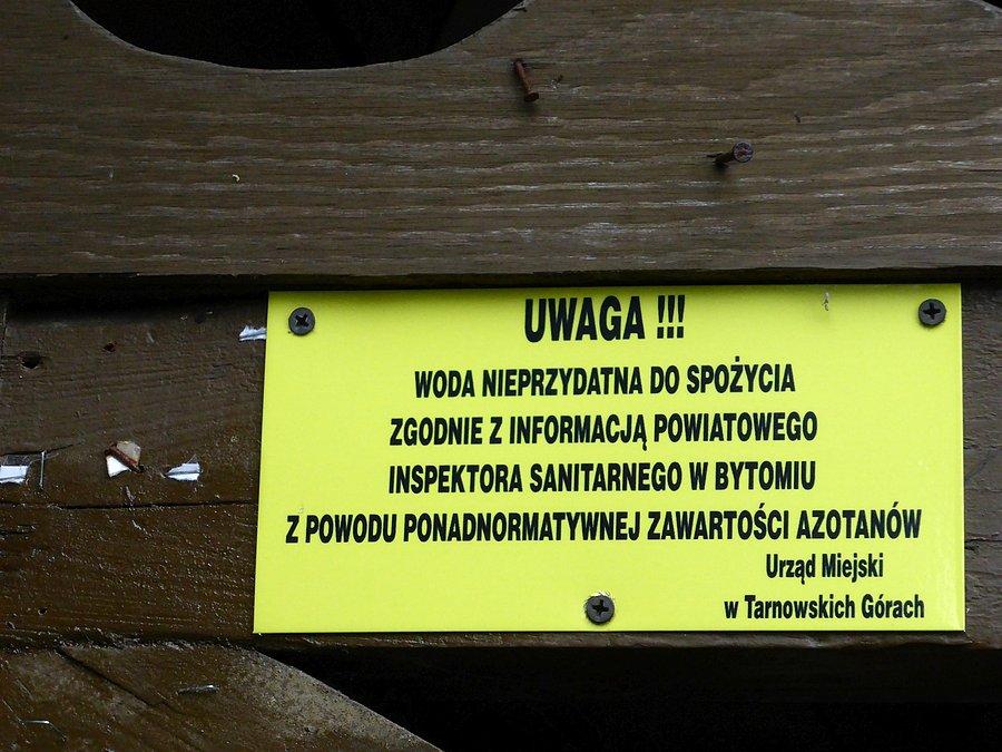 I co mi po takim Źródle Młodości?