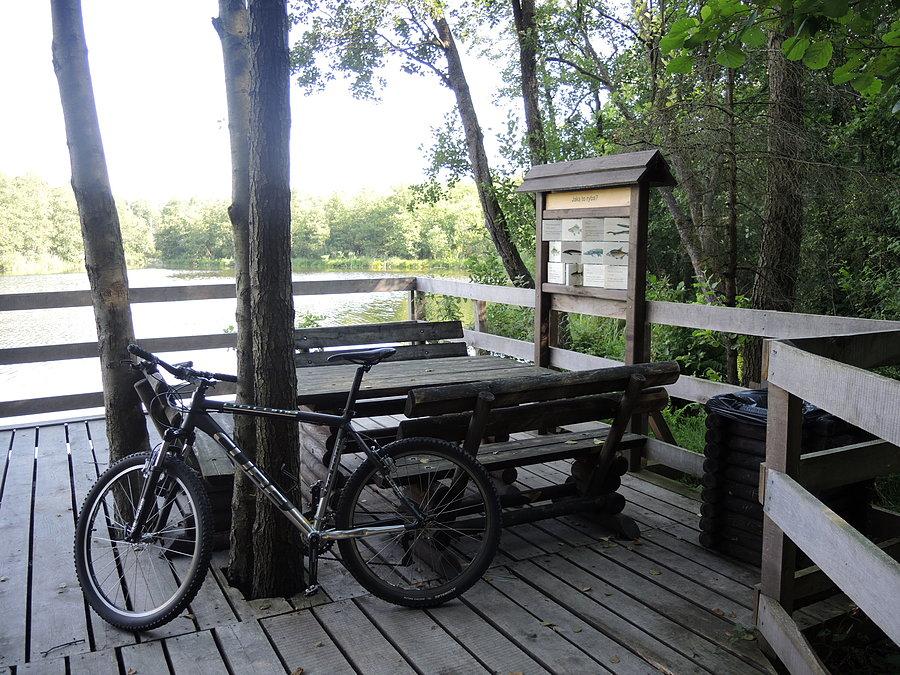 Miejscówka nad Bukówką