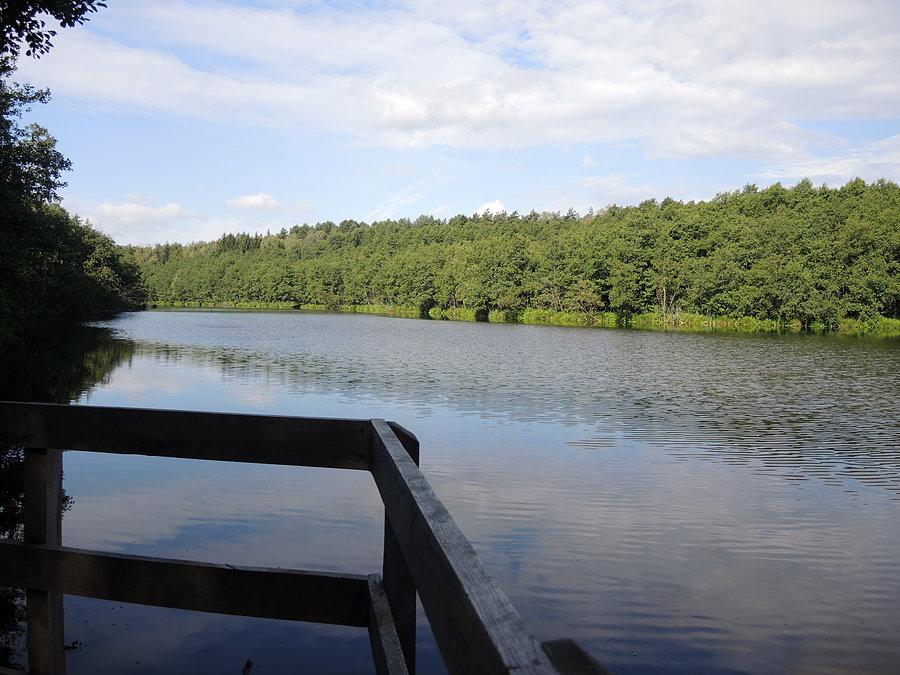 Widok na rozlewisko Bukówki