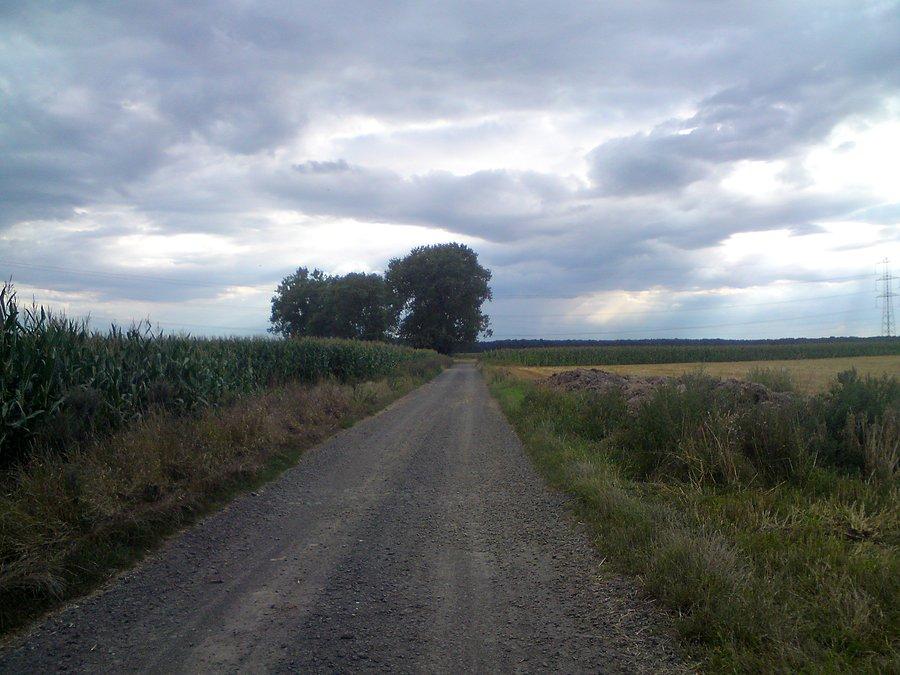 Stare Siołkowice - Wielopole