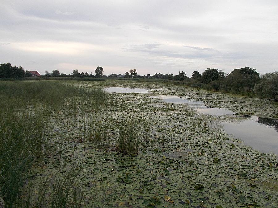 Cieplice - Kanał Cieplicówka