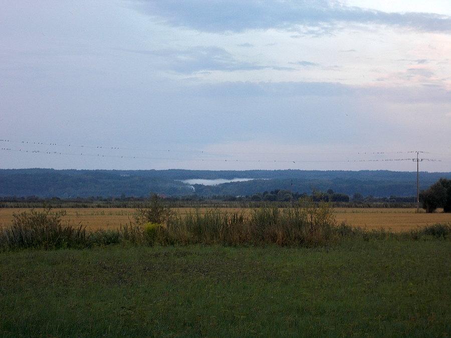 Wysoczyzna Elbląska - ciekawa mgła spływa z gór