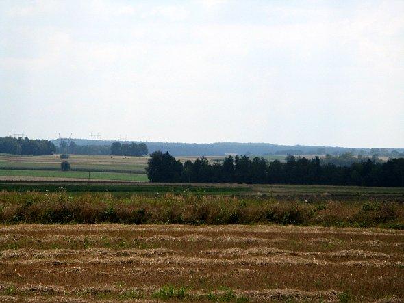 Pola koło Bystrzejowic