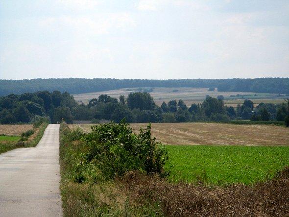 Droga na Kozice