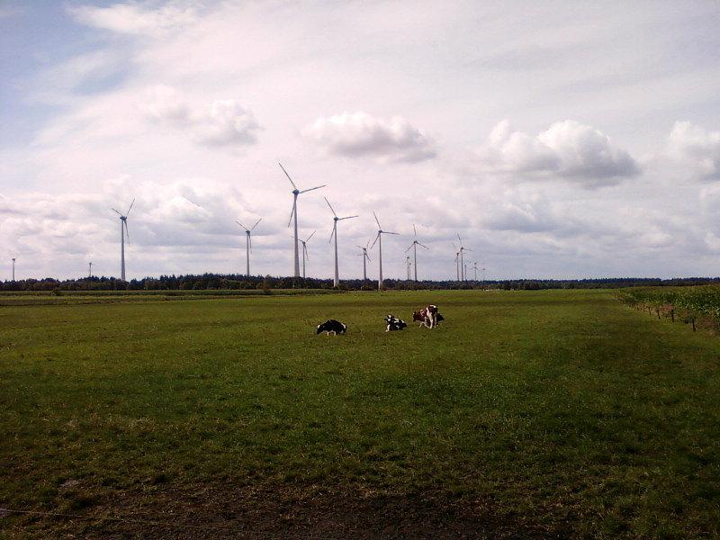 Farma wiatrowa