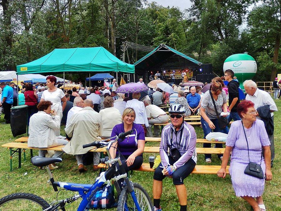 Święto patrona miasta i Dzień Pszczelarza w Pelplinie