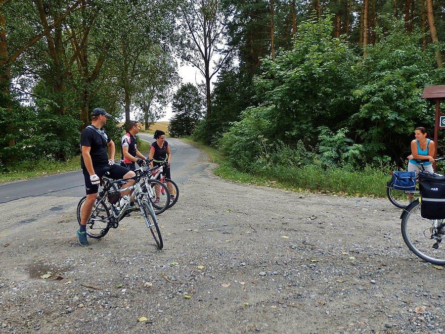 Święto patrona miasta i Dzień Pszczelarza w Pelplinie. W drodze do Pelplina