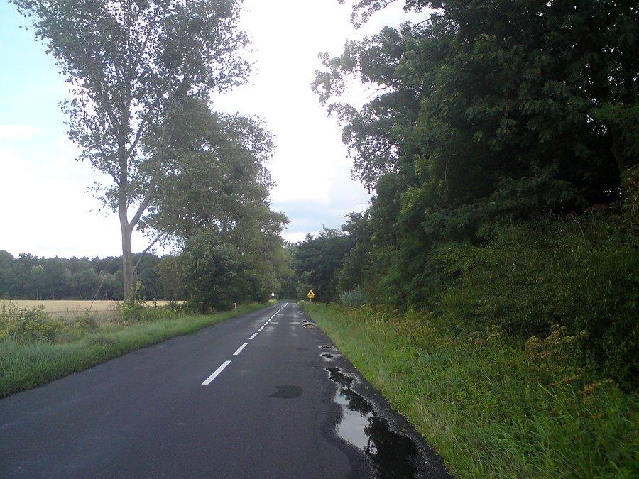 Wcześniej padało