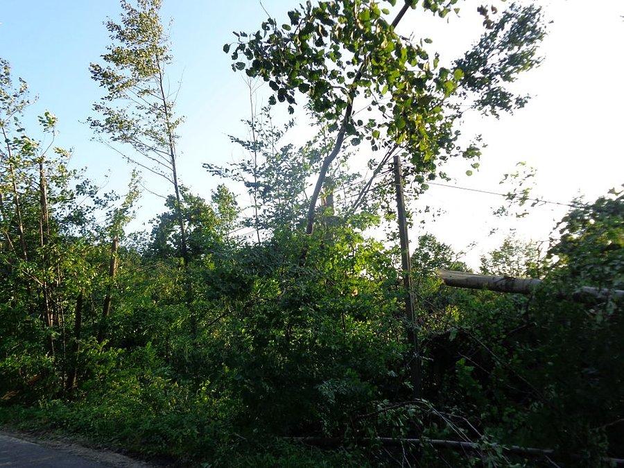 Widok po nawałnicy