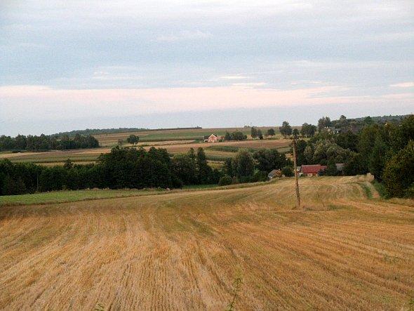 Pola w Iżycach