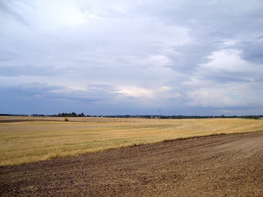 Widok w Skórczu