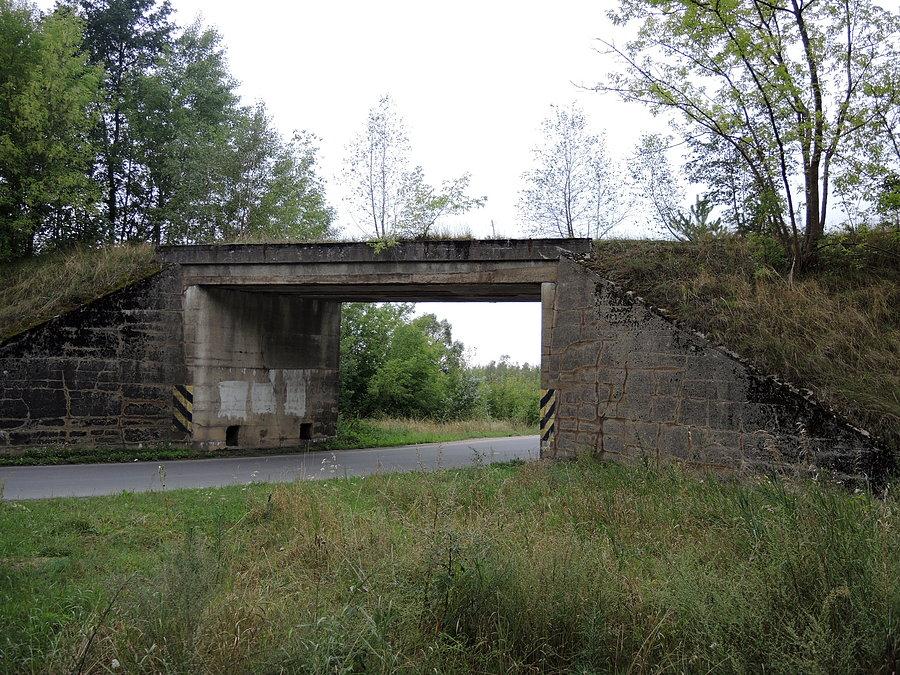 Wiadukt nieczynnej linii kolejowej na trasie Czarnków - Romanowo