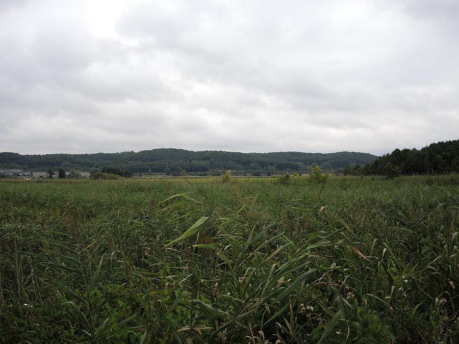 Szwajcaria Czarnkowska - widok na morenę czołową