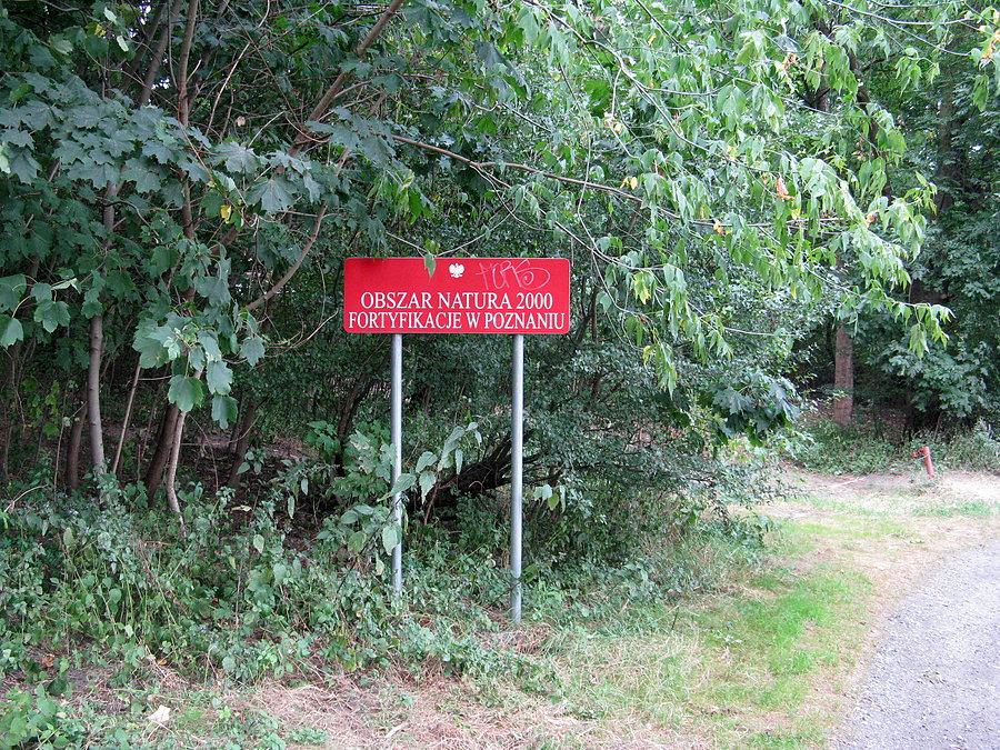Fort IVa