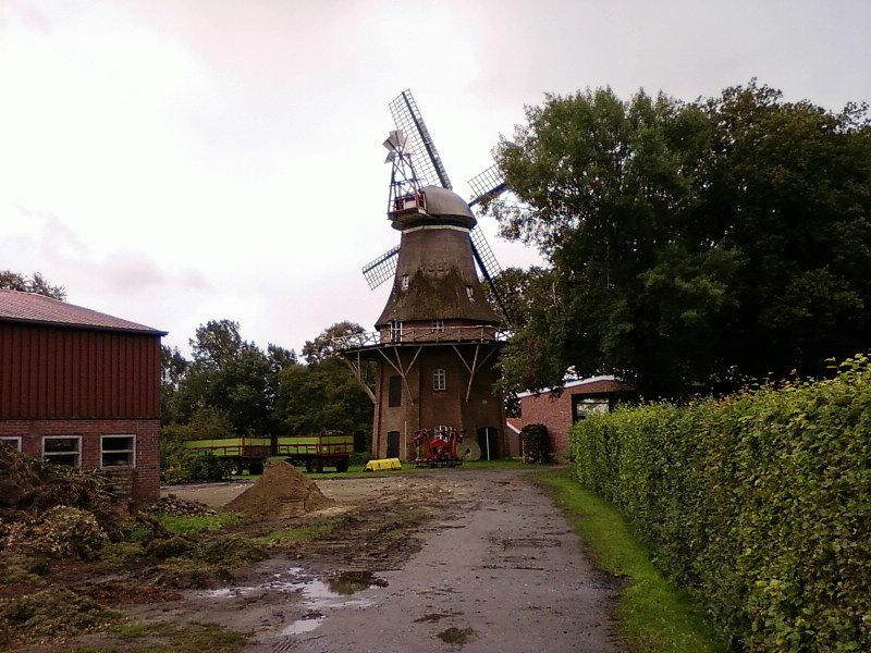 Wiatrak w Grossoldendorf