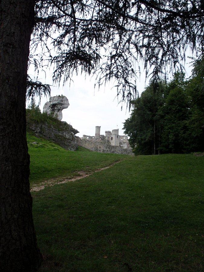 Czerwony szlak przy zamku