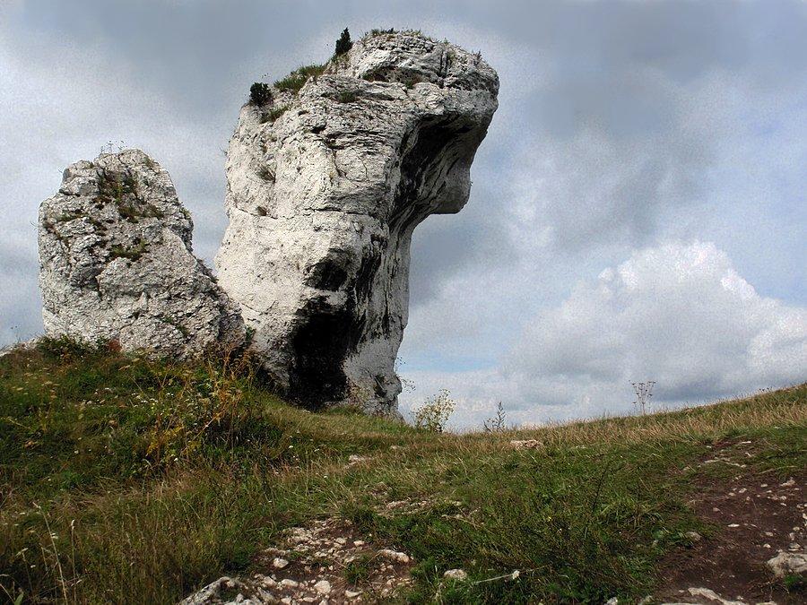 Skała przy zamku