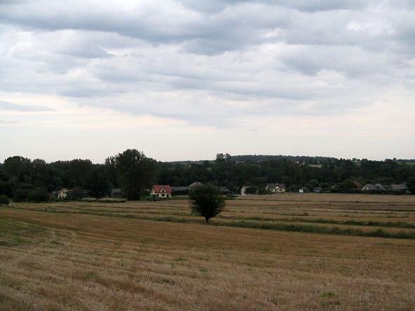 Pola koło Iżyc
