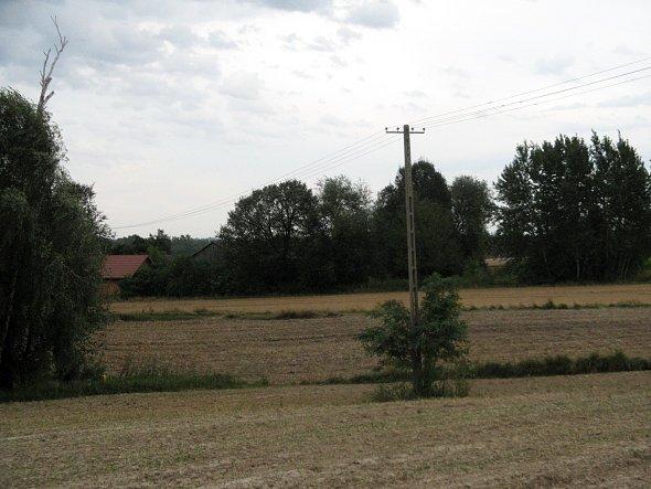 Widoczek na pole