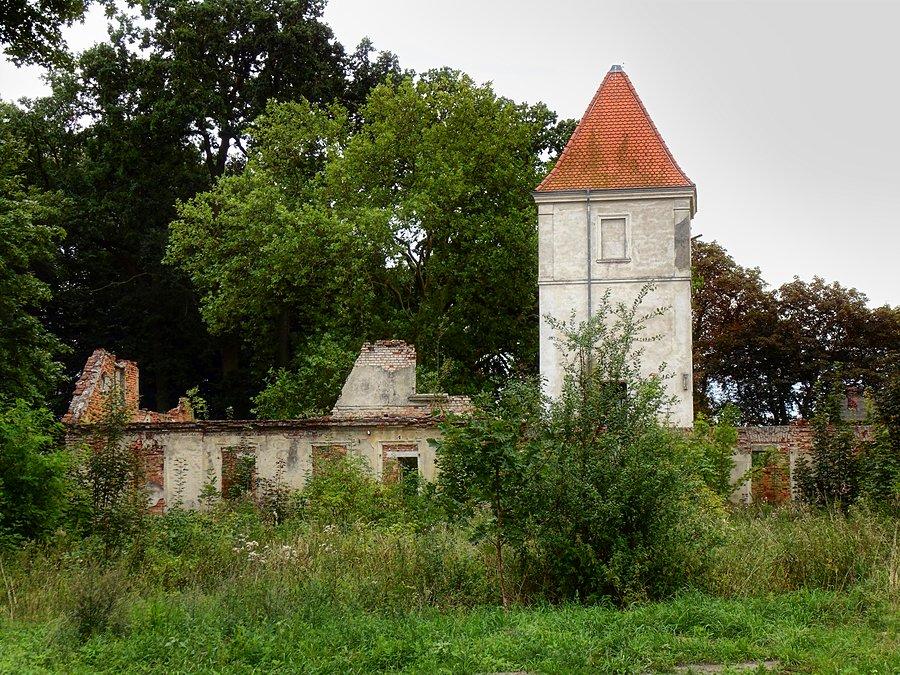 Ruiny dworu w Tolczu wybudowanego w 1835 r