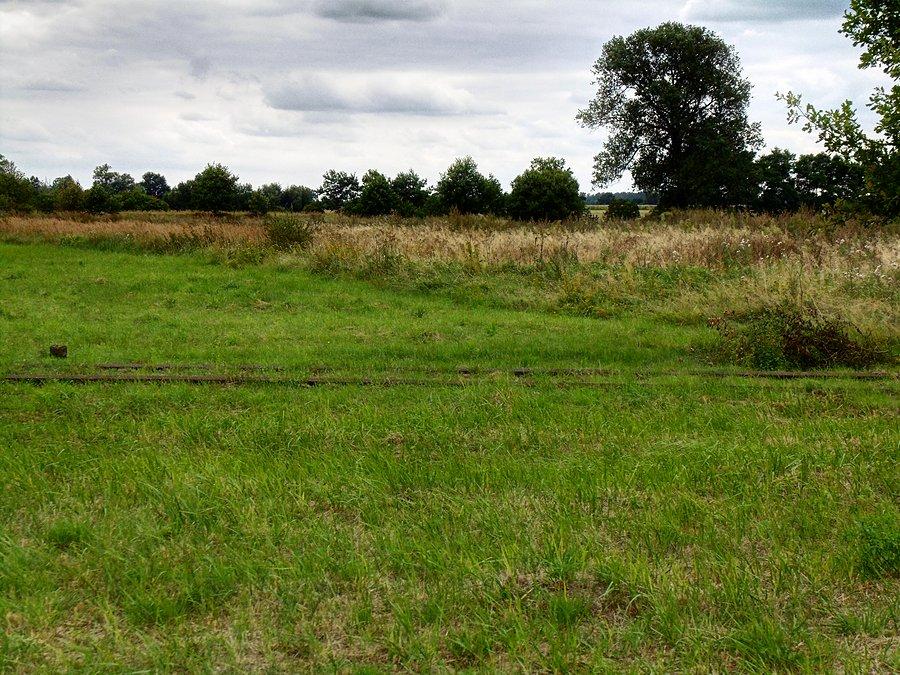 Ślady dawnej kolejki wąskotorowej